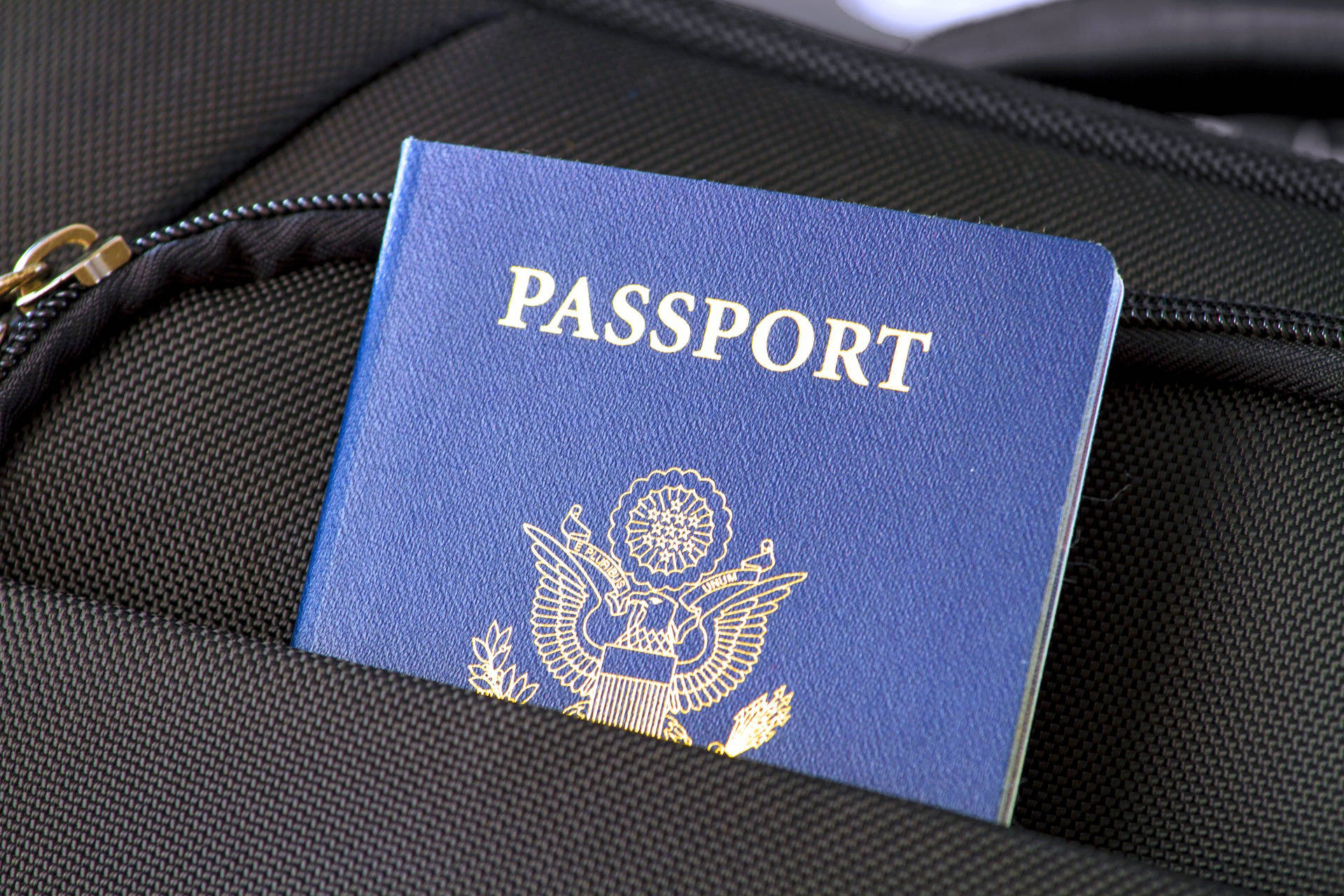 UK Talent Travel Visa Application Support msuktalent